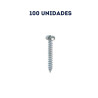 Paquete x 100 unidades Tornillo Lámina 6x1/2