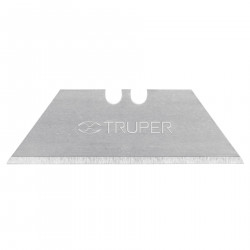 16953 Truper